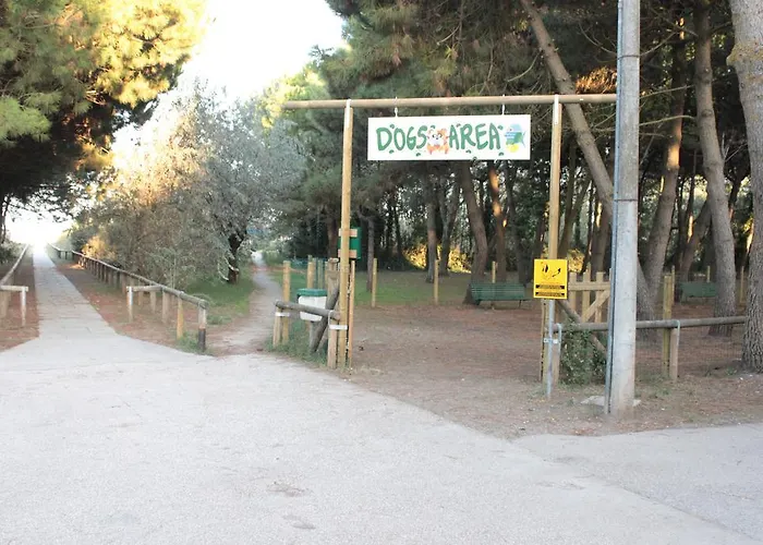 Mare E Pineta