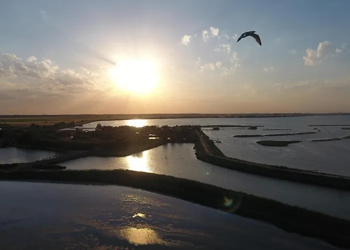 Mare E Pineta 4* Lido di Spina