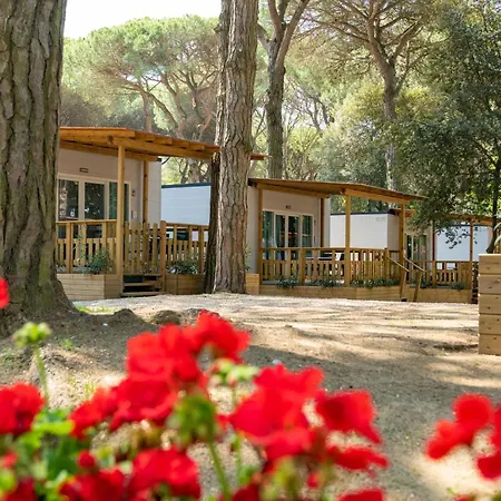 Camping Camping Mare E Pineta Lido di Spina