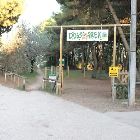 Camping Mare E Pineta